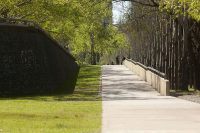 Footpath amidst trees in park