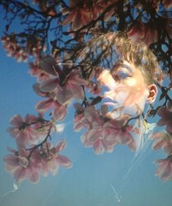 Low angle view of flowers