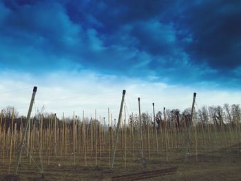 Scenic view of field against cloudy sky