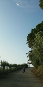 Road amidst trees on field against clear sky