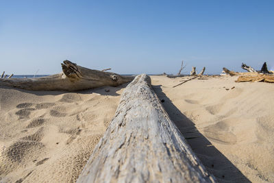 Scenic view of sand dunes against clear sky