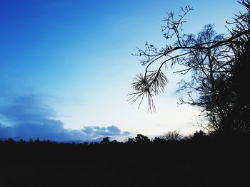 Low angle view of silhouette trees against sky