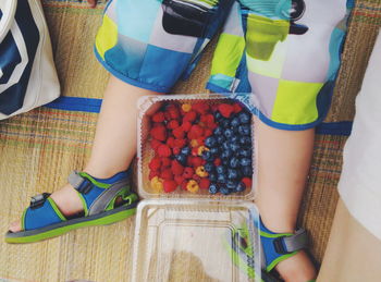 Low section of kid sitting with berry fruits in plastic container on beach mat