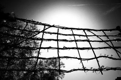 Low angle view of silhouette trees against sky