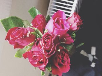 Close-up of pink rose