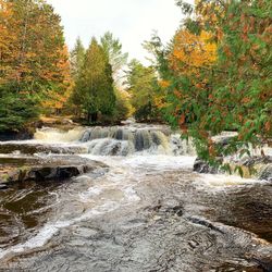 Scenic view of waterfall in forest during autumn