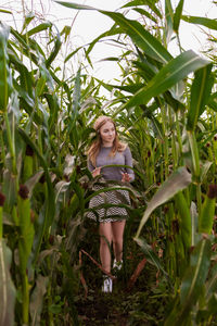 Beautiful young woman in a corn field