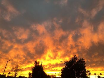 Low angle view of silhouette trees against dramatic sky