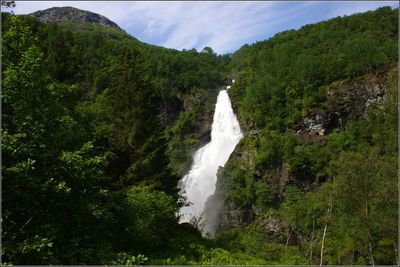 Scenic view of waterfall in forest
