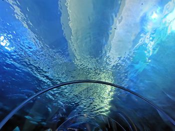 Low section of person swimming in pool