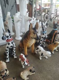 Dogs relaxing on a toy