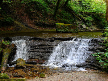 Scenic view of waterfall in forest