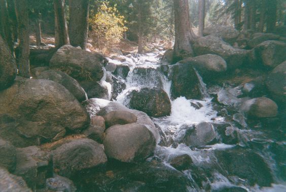 WATERFALL IN FOREST