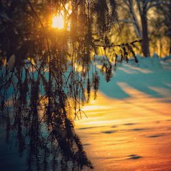 Sunset over lake