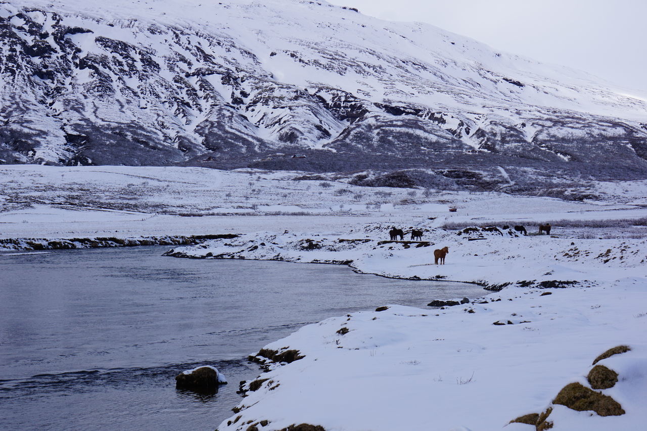 SCENIC VIEW OF SNOWCAPPED MOUNTAINS