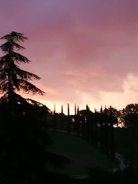 Silhouette trees against sky at sunset