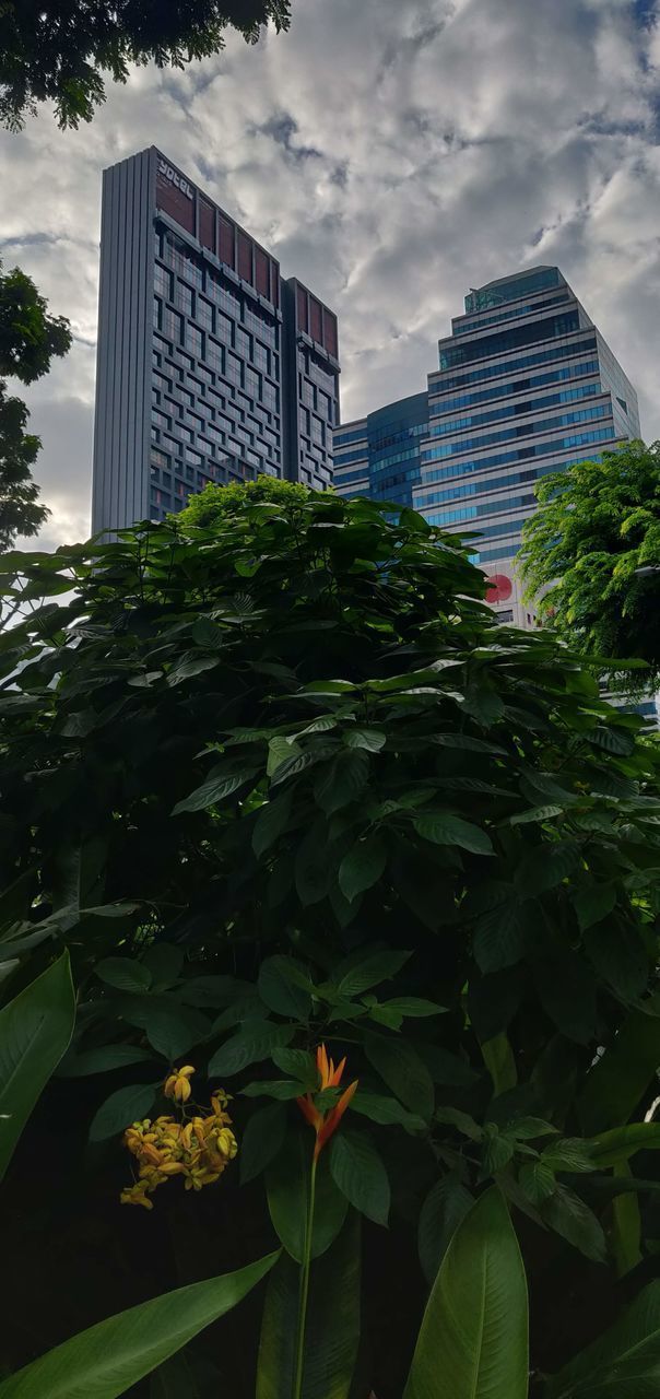 PLANTS AND MODERN BUILDINGS AGAINST SKY