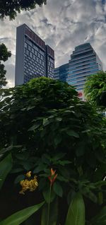 Plants and modern buildings in city against sky