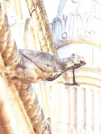 Close-up of statue against sky