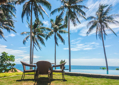 View of palm trees on beach