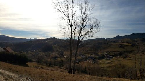 Bare trees on field against sky