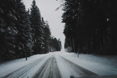 Road amidst trees against sky during winter