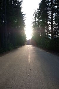 Road amidst trees in forest