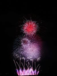 Low angle view of firework display at night