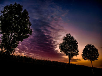 Silhouette trees on field against sky during sunset