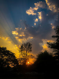 Silhouette trees against dramatic sky during sunset