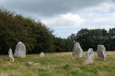 View of cemetery on field against sky