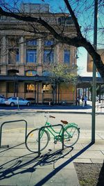 Bicycle parked by tree in city