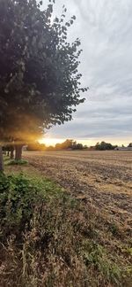 Scenic view of field against sky during sunset