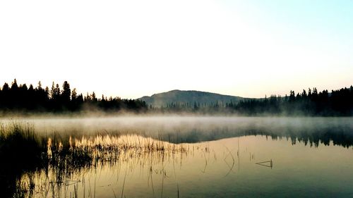 Scenic view of lake against clear sky during winter