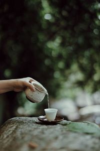 Tea brewing in the nature 