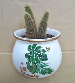 Close-up of succulent plant in pot