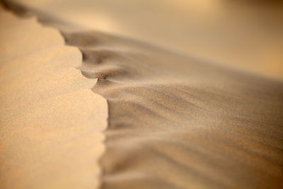 Abstract natural pattern of the sand dune in the desert in abu dhabi. closeup macro texture.