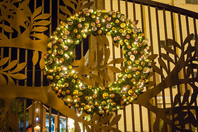 Illuminated christmas tree