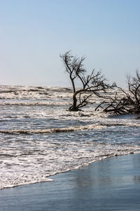 Scenic view of sea against clear sky