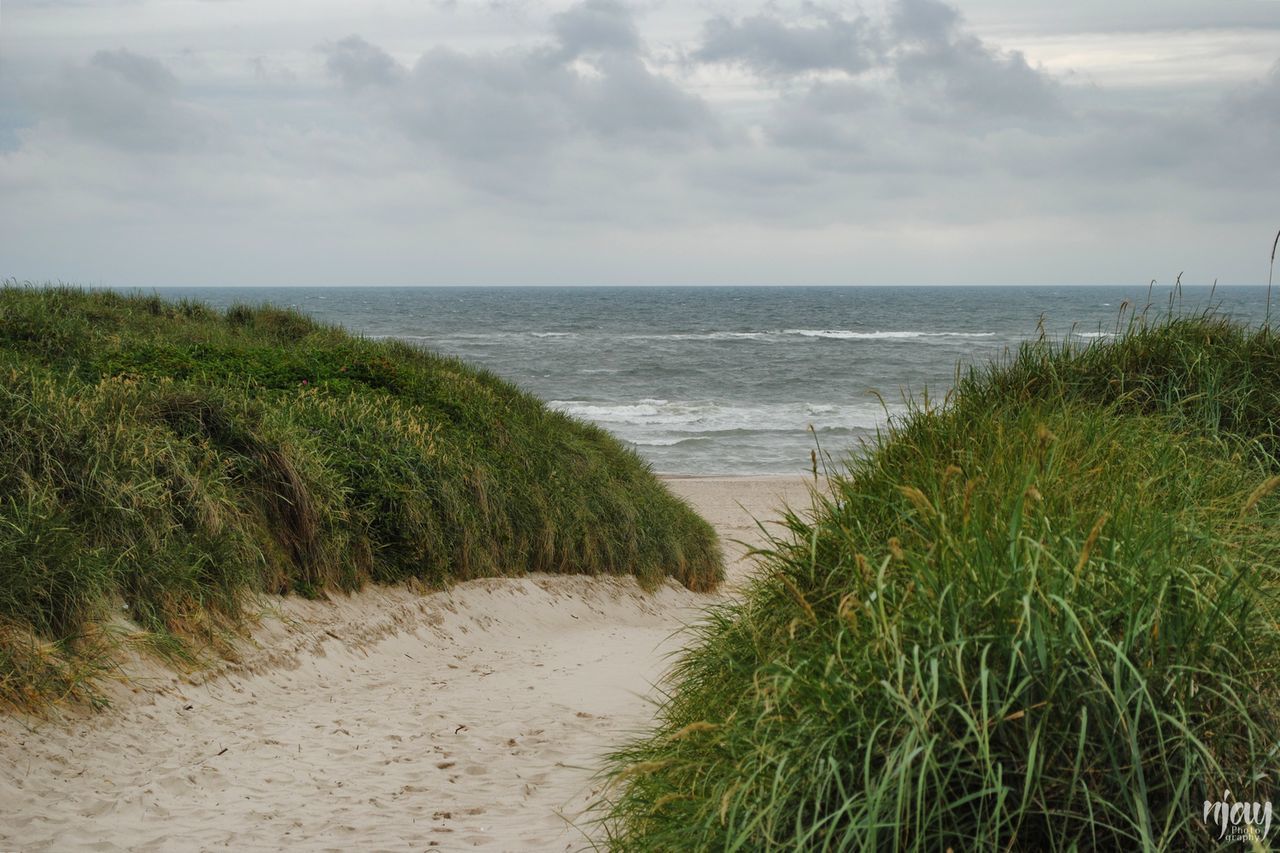 sea, beach, horizon over water, nature, scenics, sand, water, tranquil scene, tranquility, grass, beauty in nature, sky, outdoors, day, cloud - sky, no people, marram grass, green color, plant, growth