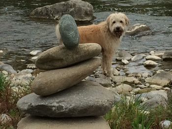 Rocks in water