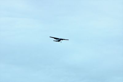 Low angle view of airplane flying in sky