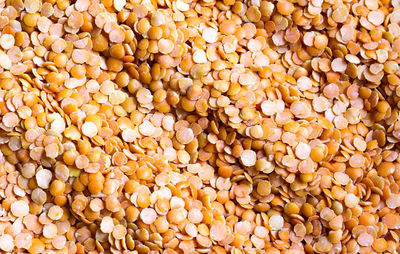 Yellow lentils, detail texture background, closeup of lentils background