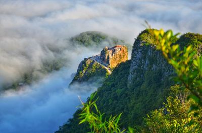 Scenic view of tree mountain against sky