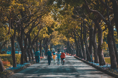 People walking on footpath amidst trees