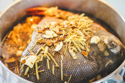 Close-up of fish in bowl