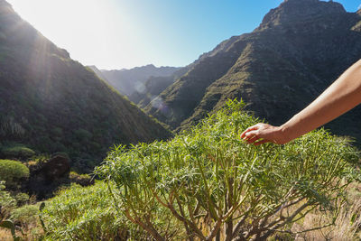 High angle view of man standing on mountain