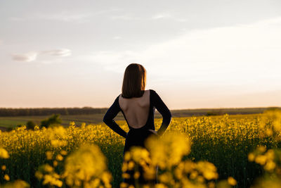 Rear view of woman on field against sky