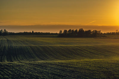 Scenic view of agricultural field against sky during sunset