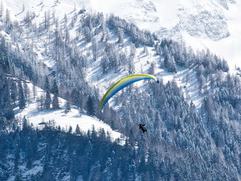 Rear view of colorful paraglider over alpine forest